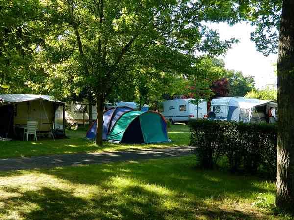 Primitive grass site
