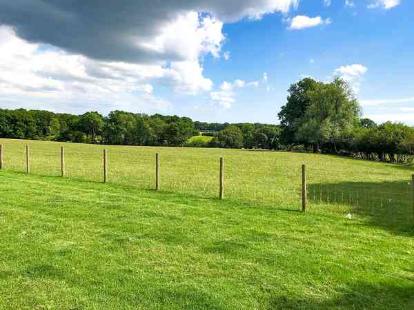 Electric grass pitch