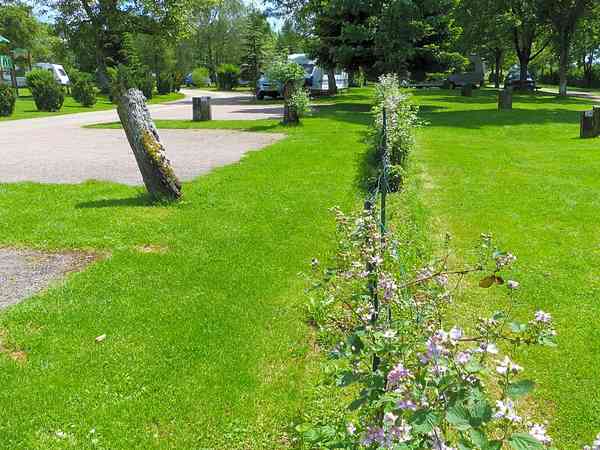 Emplacement sur herbe avec électricité optionnelle