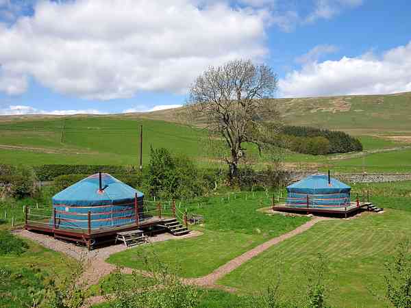 Bluebell yurt