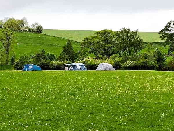 Emplacement pour tente sur herbe sans électricité