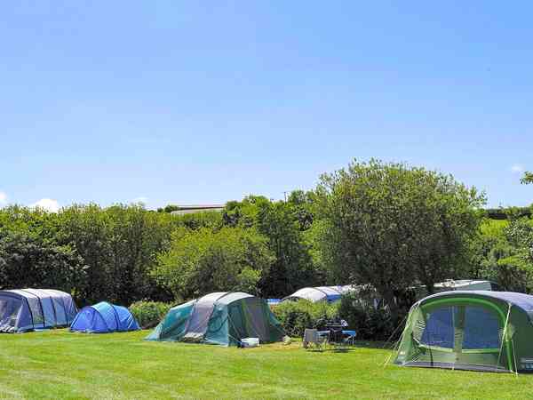 Electric grass tent pitch