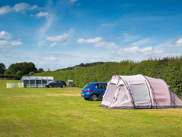 Electric grass tent pitch