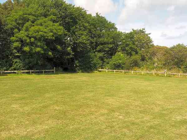 Trees behind the pitches Trees behind the pitches