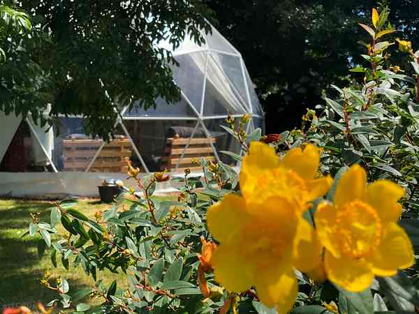 Geodesic dome (large)