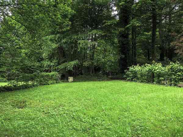 Well-kept grass pitches Well-kept grass pitches