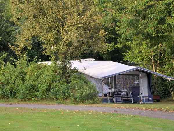 Grass pitches among the trees Grass pitches among the trees