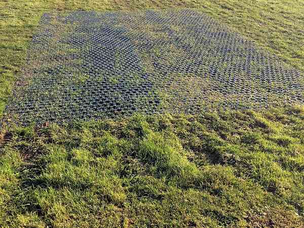 Reinforced grass hardstanding pitch Reinforced grass hardstanding pitch