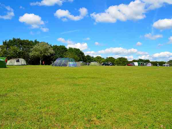 Non-electric grass tent, trailer tent or campervan pitch