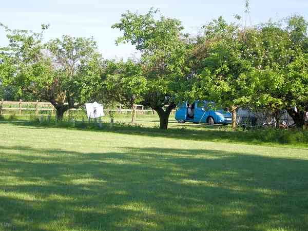 Electric grass tent or trailer tent pitch