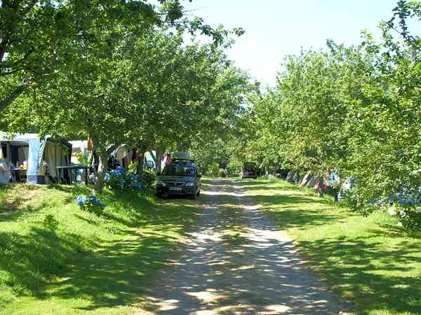 Emplacement pour autocaravane sur herbe avec électricité