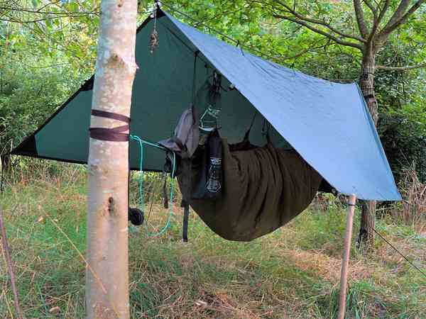 Primitive forest floor tent site (woodland)