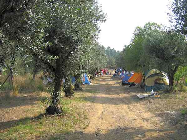 Electric optional grass tent or trailer tent pitch (small)