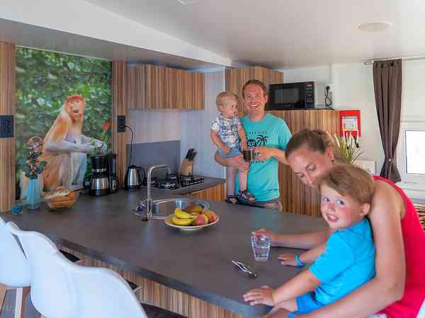 Catalpa 2 bedroom mobile home