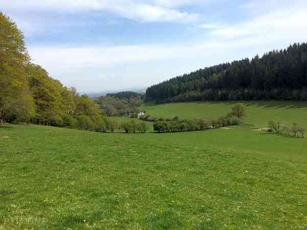 Primitive grass and earth campervan site