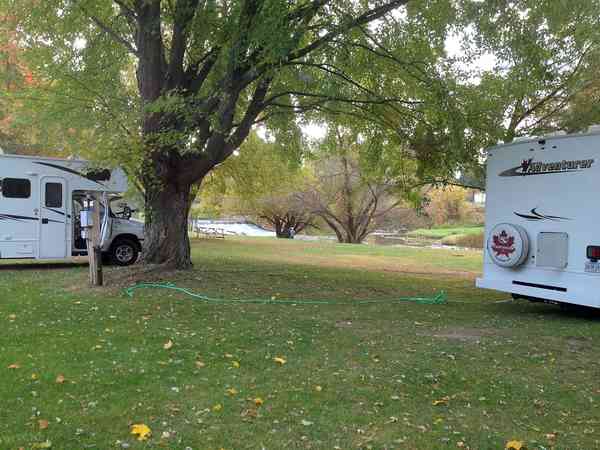 Spacious pitches shaded by trees Spacious pitches shaded by trees