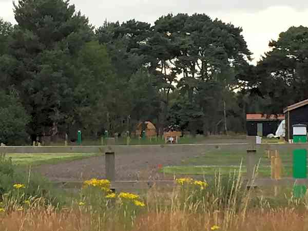 Emplacement pour tente (Sandy Acres) sur herbe sans électricité