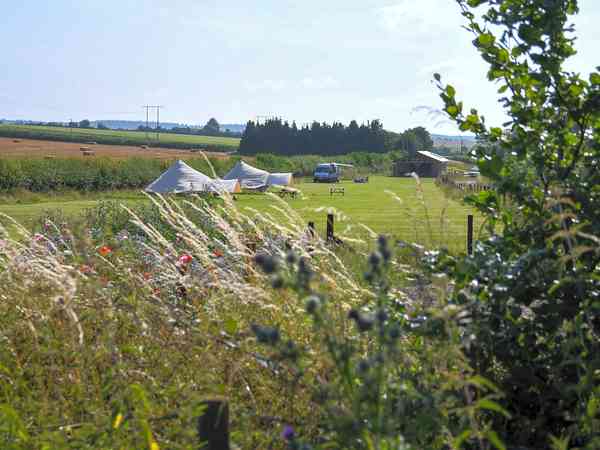 Non-electric grass tent pitch