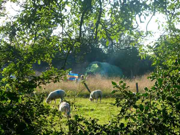 Farm camping in the sunshine :) Farm camping in the sunshine :)