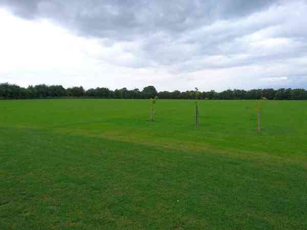 Main field Main field