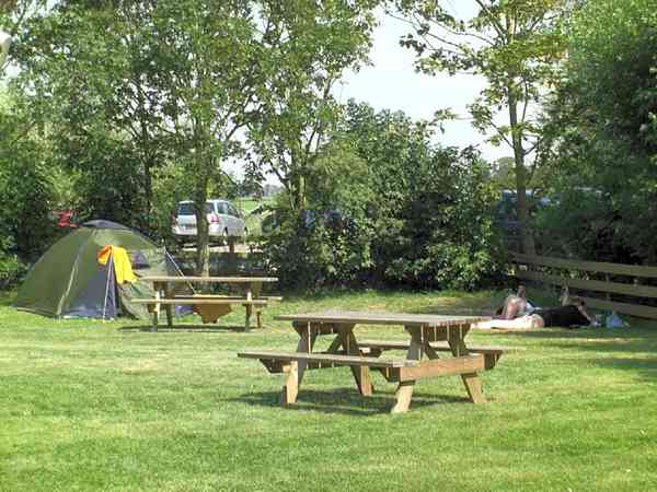 Electric optional grass tent pitch