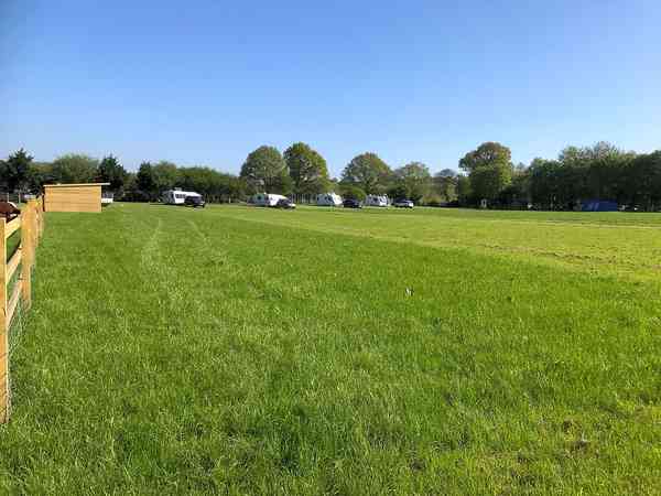 Poppy electric grass touring pitch