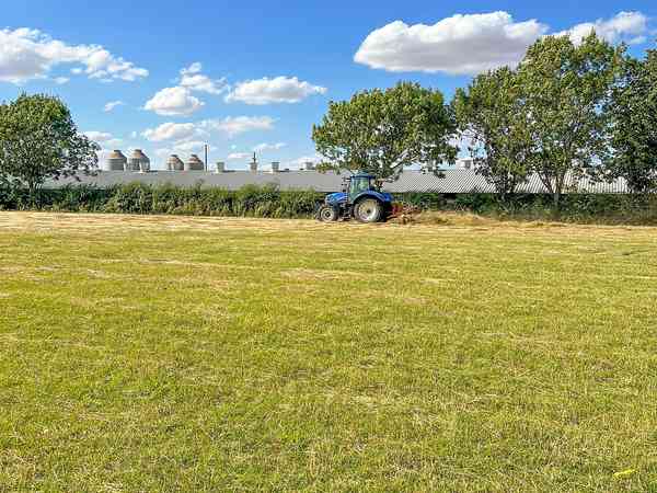 Grasbewachsener Zelt- oder Zeltanhänger-Stellplatz ohne Stromanschluss