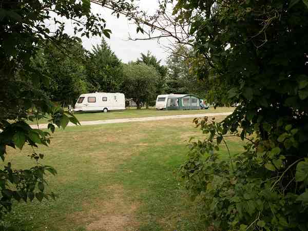 Power optional grass site