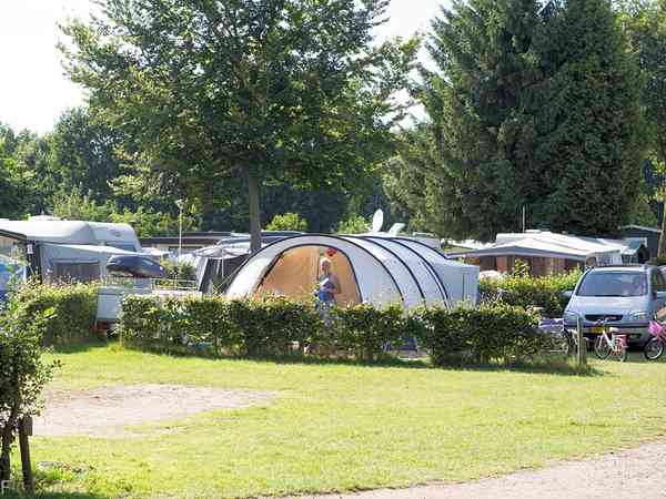 Spacious grass pitches Spacious grass pitches