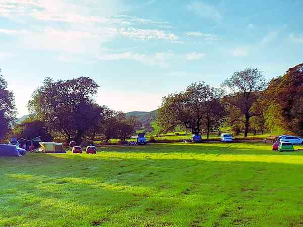 Non-electric grass pitch