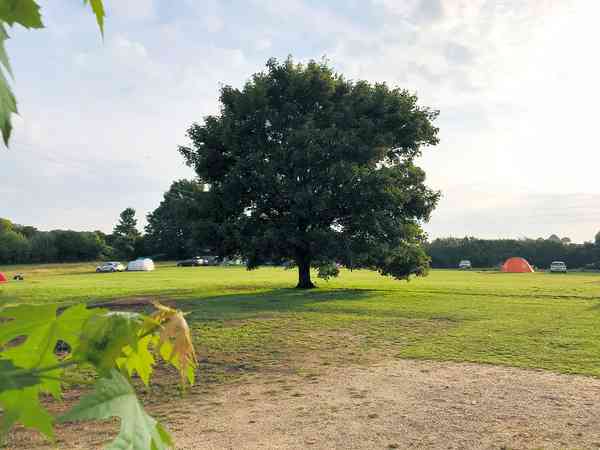 Emplacement pour tente (Paddock) sur herbe sans électricité