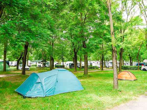Grass pitches Grass pitches