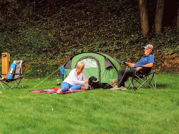 The Dell electric grass tent pitch (small)