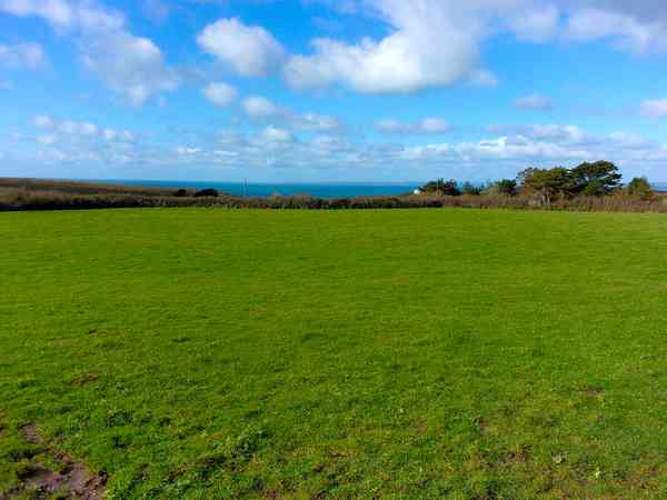 Electric optional grass tent pitch