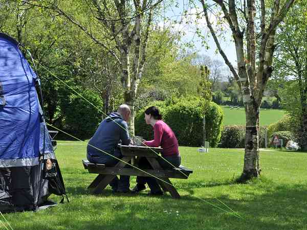 Emplacement pour tente, pour caravane pliante ou pour caravane (Top field) sur herbe avec électricité
