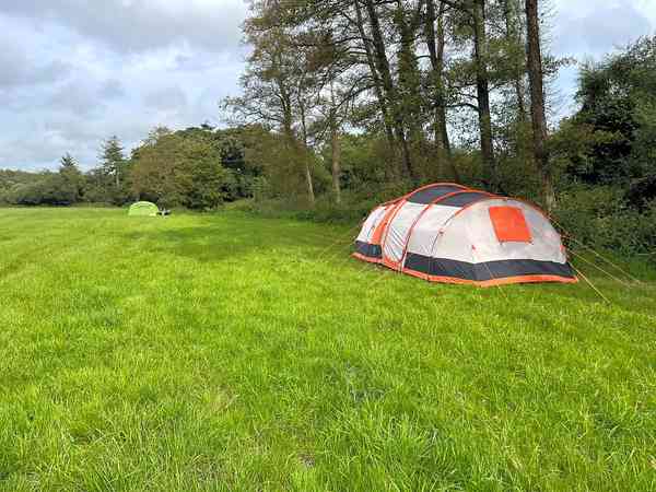 Primitive grass campervan site