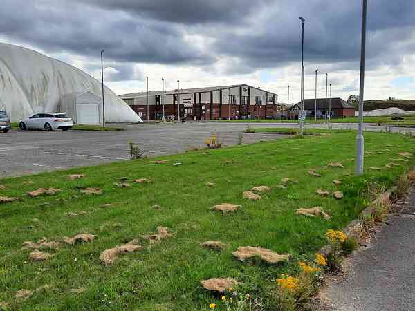 Hardstanding pitches next to the Mayfair Centre's bar, coffee shop and golf dome Hardstanding pitches next to the Mayfair Centre's bar, coffee shop and golf dome