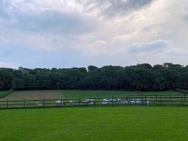 Non-electric grass pitch
