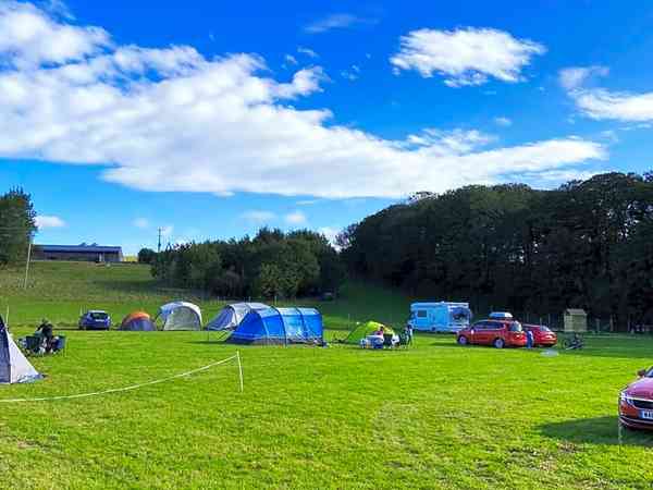 Non-electric grass pitch