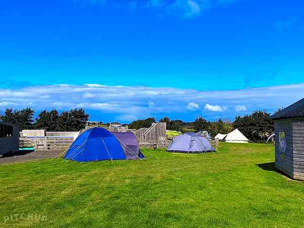 Electric grass tent or campervan pitch