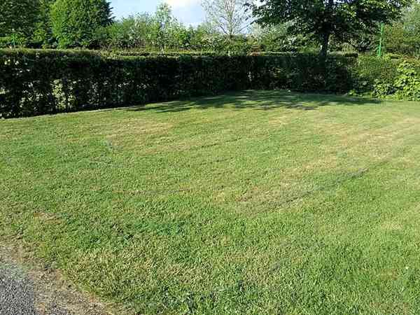Emplacement sur herbe avec électricité optionnelle