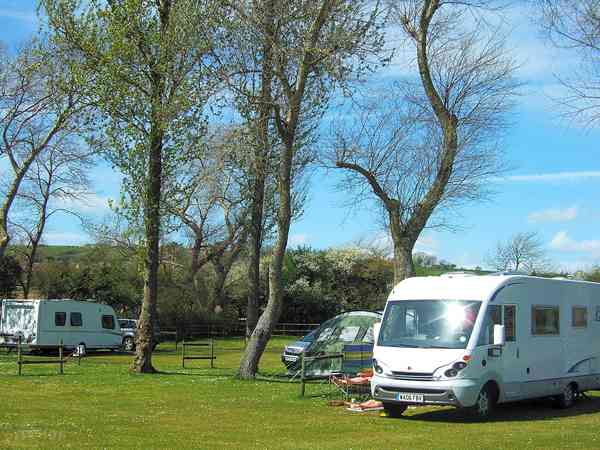 Electric grass pitch