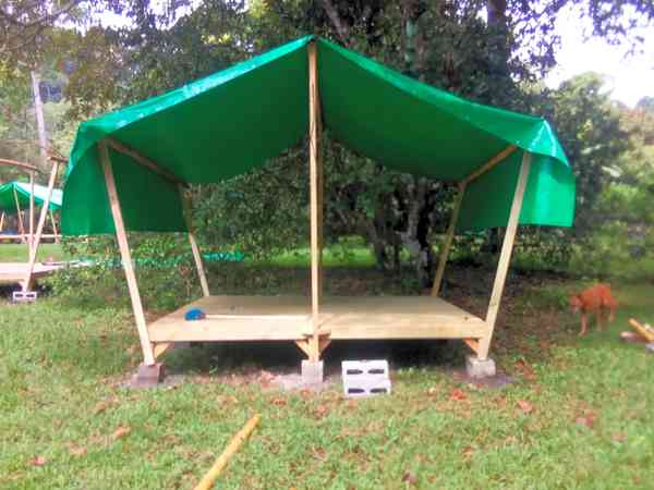 Unpowered grass and earth tent site (shaded)