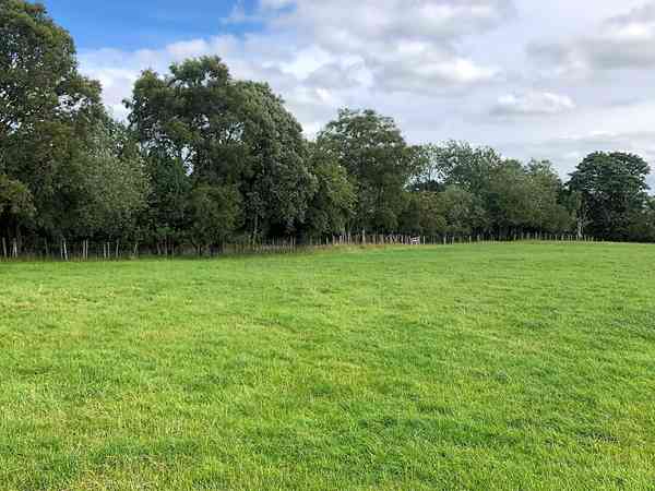 Parcela de césped sin electricidad Primrose Park Field