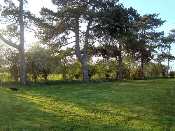 Non-electric grass tent pitch
