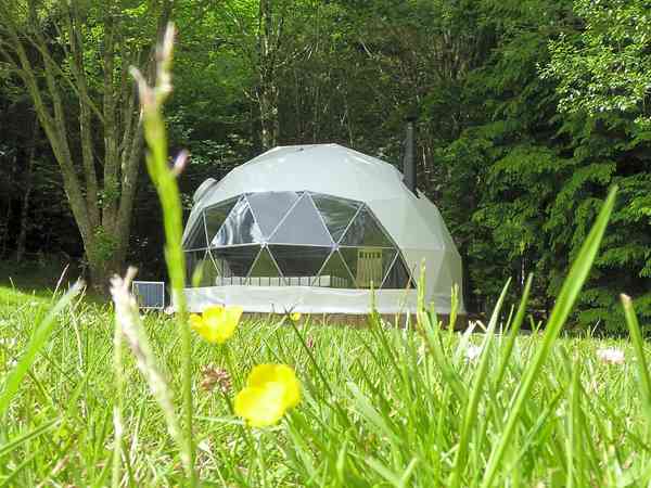 Our quirky geodome sitting in its woodland setting Our quirky geodome sitting in its woodland setting