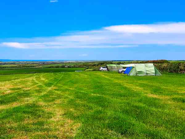Primitive grass tent site