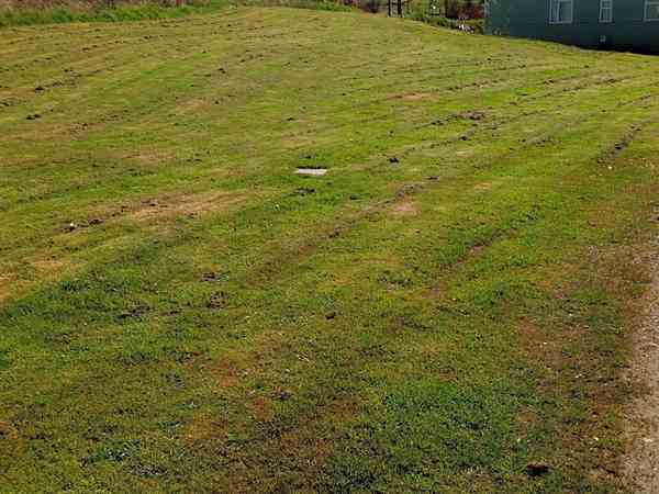 Grass pitches Grass pitches
