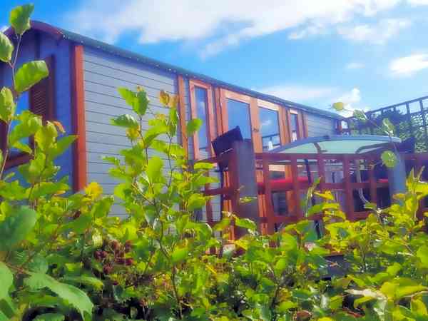 Daisy Den shepherds Hut Daisy Den shepherds Hut