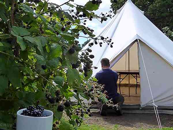Non-electric grass tent pitch (seven man)